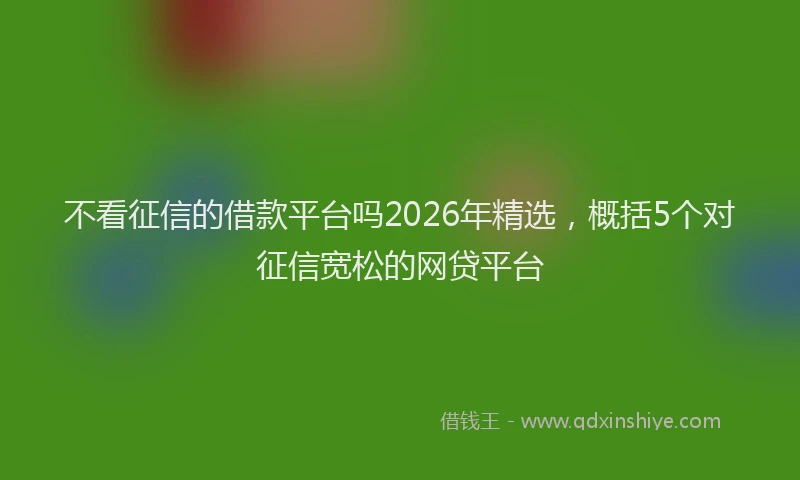 不看征信的借款平台吗2026年精选，概括5个对征信宽松的网贷平台