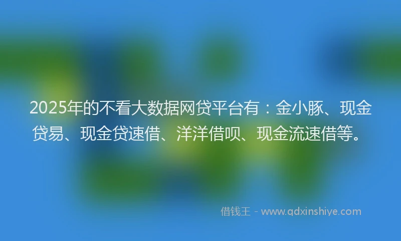 2025年的不看大数据网贷平台有：金小豚、现金贷易、现金贷速借、洋洋借呗、现金流速借等。