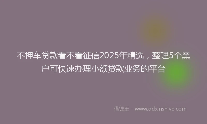不押车贷款看不看征信2025年精选，整理5个黑户可快速办理小额贷款业务的平台