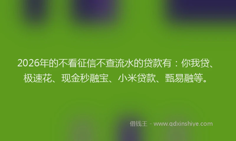 2026年的不看征信不查流水的贷款有：你我贷、极速花、现金秒融宝、小米贷款、甄易融等。