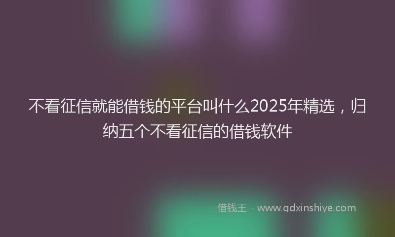 不看征信就能借钱的平台叫什么2025年精选，归纳五个不看征信的借钱软件