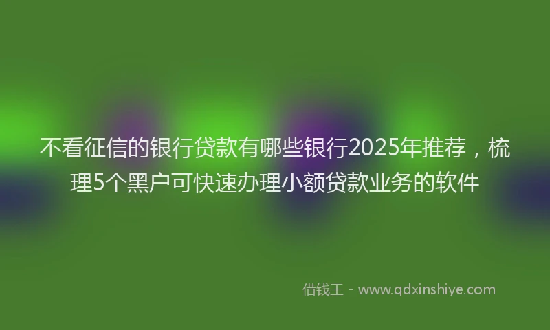 不看征信的银行贷款有哪些银行2025年推荐,梳理5个黑户可快速办理小额贷款业务的软件