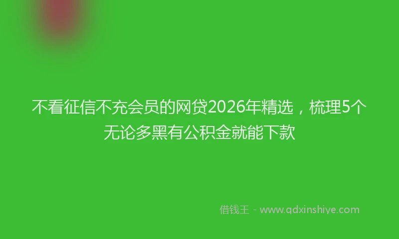 不看征信不充会员的网贷2026年精选，梳理5个无论多黑有公积金就能下款