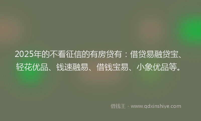 2025年的不看征信的有房贷有:借贷易融贷宝、轻花优品、钱速融易、借钱宝易、小象优品等。