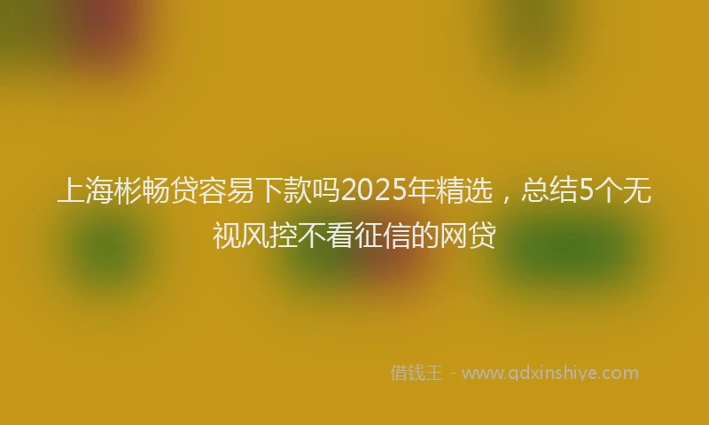 上海彬畅贷容易下款吗2025年精选，总结5个无视风控不看征信的网贷