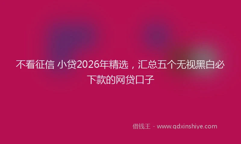 不看征信 小贷2026年精选，汇总五个无视黑白必下款的网贷口子