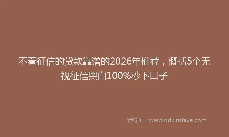 不看征信的贷款靠谱的2026年推荐，概括5个无视征信黑白100%秒下口子