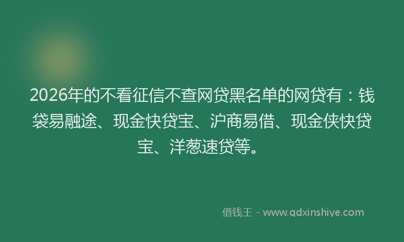 2026年的不看征信不查网贷黑名单的网贷有：钱袋易融途、现金快贷宝、沪商易借、现金侠快贷宝、洋葱速贷等。