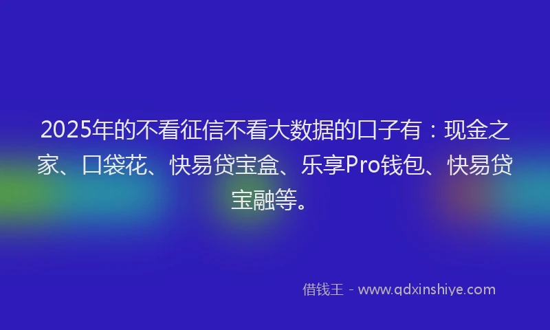 2025年的不看征信不看大数据的口子有：现金之家、口袋花、快易贷宝盒、乐享Pro钱包、快易贷宝融等。