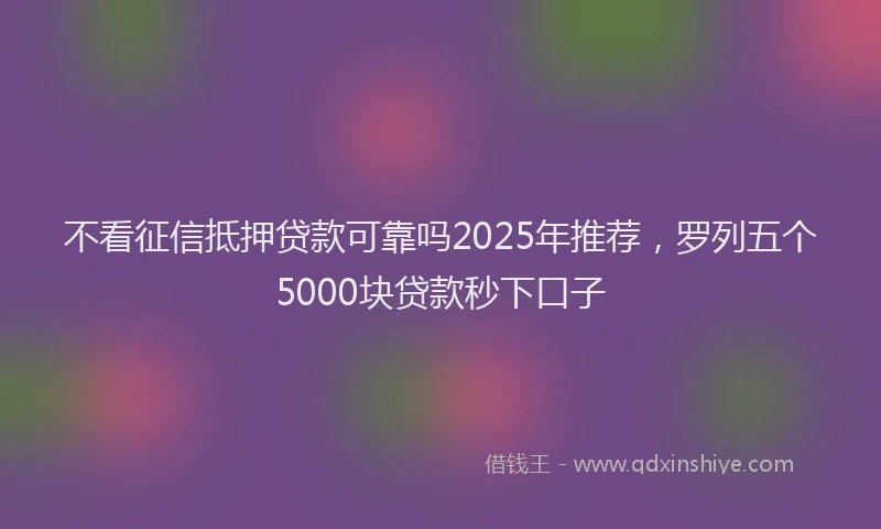 不看征信抵押贷款可靠吗2025年推荐，罗列五个5000块贷款秒下口子