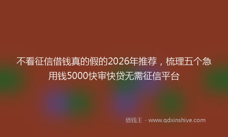 不看征信借钱真的假的2026年推荐，梳理五个急用钱5000快审快贷无需征信平台