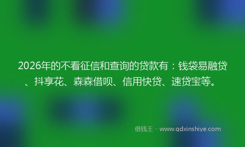 2026年的不看征信和查询的贷款有：钱袋易融贷、抖享花、森森借呗、信用快贷、速贷宝等。