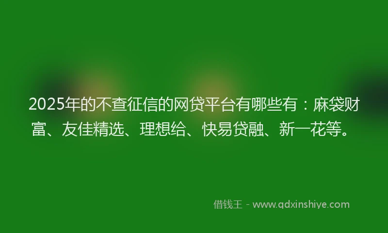 2025年的不查征信的网贷平台有哪些有：麻袋财富、友佳精选、理想给、快易贷融、新一花等。