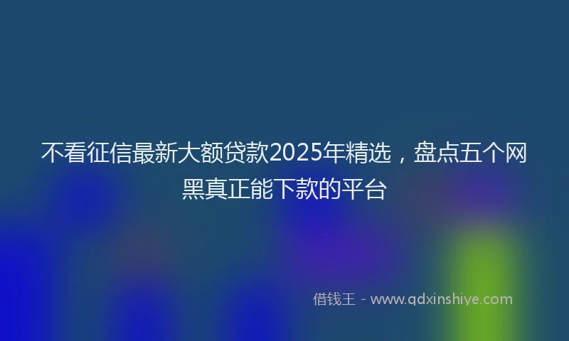 不看征信最新大额贷款2025年精选，盘点五个网黑真正能下款的平台