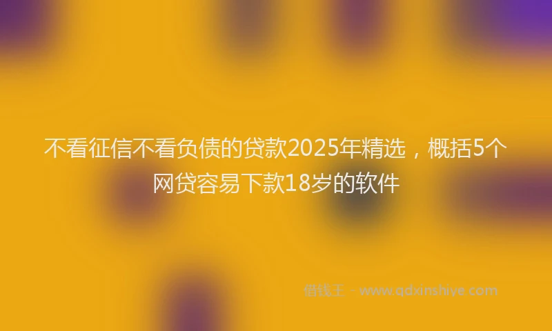 不看征信不看负债的贷款2025年精选，概括5个网贷容易下款18岁的软件