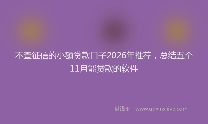 不查征信的小额贷款口子2026年推荐，总结五个11月能贷款的软件