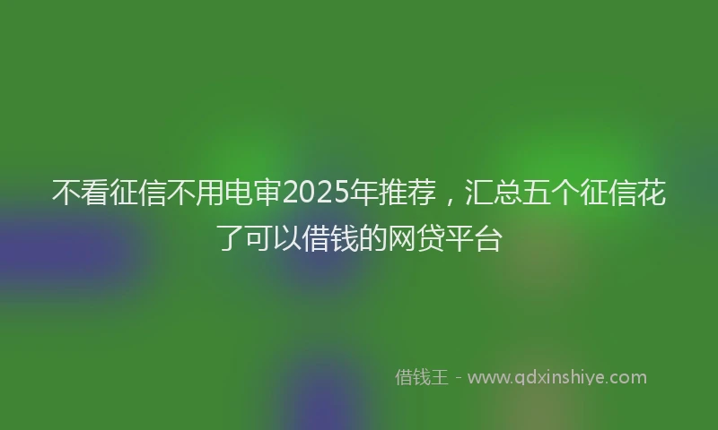 不看征信不用电审2025年推荐，汇总五个征信花了可以借钱的网贷平台