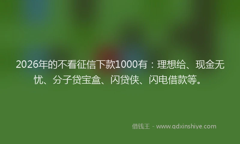 2026年的不看征信下款1000有：理想给、现金无忧、分子贷宝盒、闪贷侠、闪电借款等。