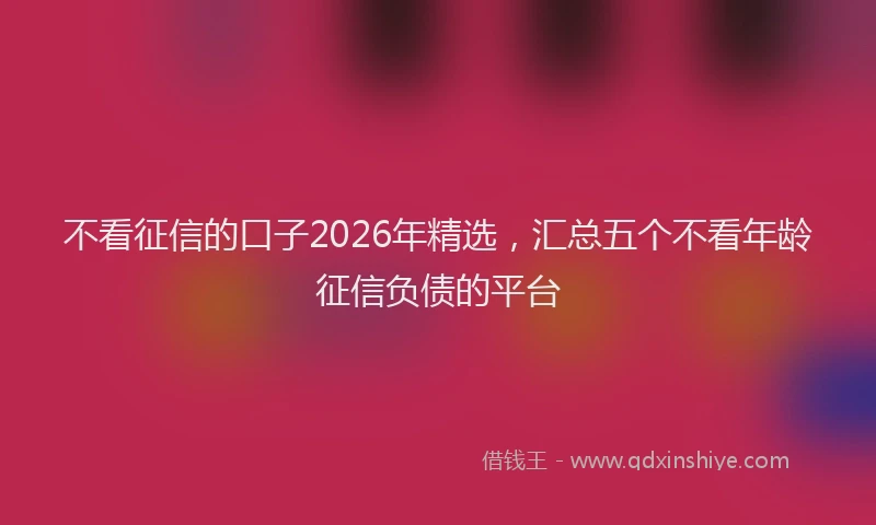 不看征信的口子2026年精选,汇总五个不看年龄征信负债的平台