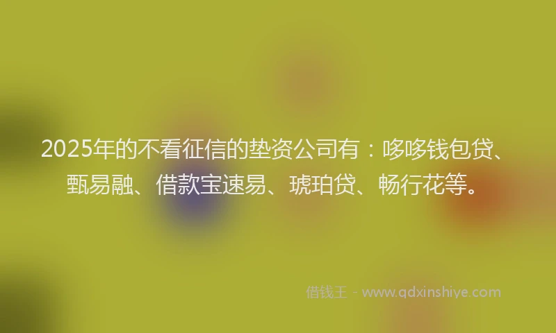 2025年的不看征信的垫资公司有：哆哆钱包贷、甄易融、借款宝速易、琥珀贷、畅行花等。