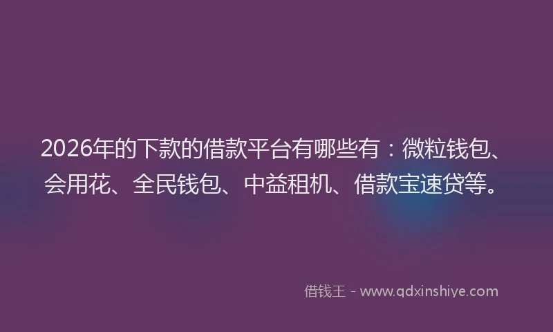2026年的下款的借款平台有哪些有：微粒钱包、会用花、全民钱包、中益租机、借款宝速贷等。