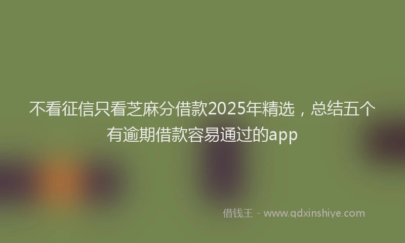 不看征信只看芝麻分借款2025年精选，总结五个有逾期借款容易通过的app