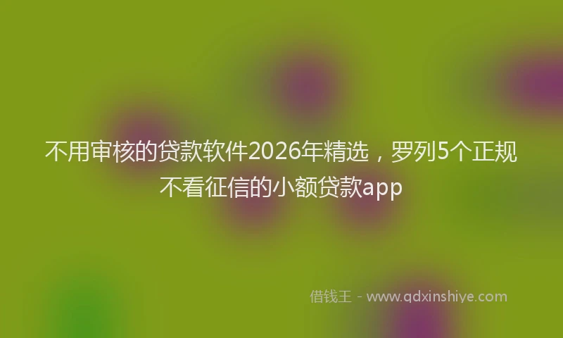 不用审核的贷款软件2026年精选，罗列5个正规不看征信的小额贷款app
