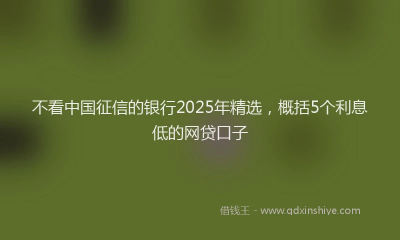 不看中国征信的银行2025年精选，概括5个利息低的网贷口子