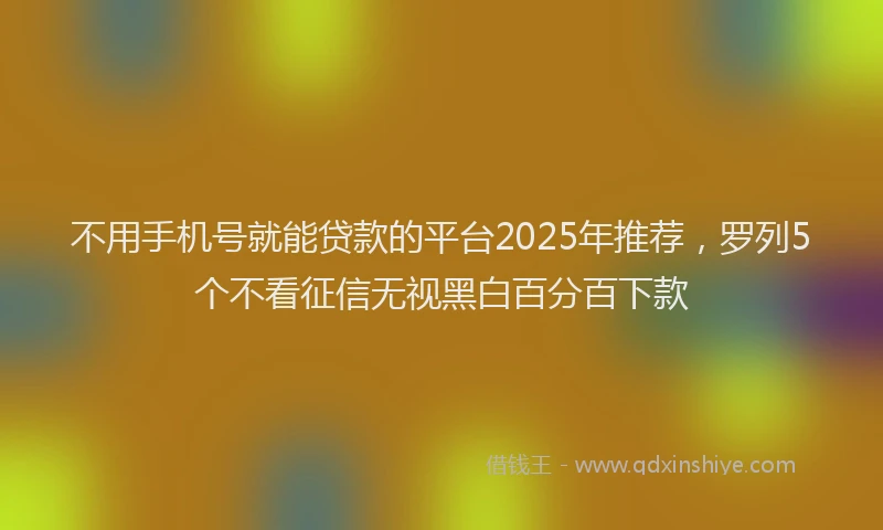 不用手机号就能贷款的平台2025年推荐，罗列5个不看征信无视黑白百分百下款