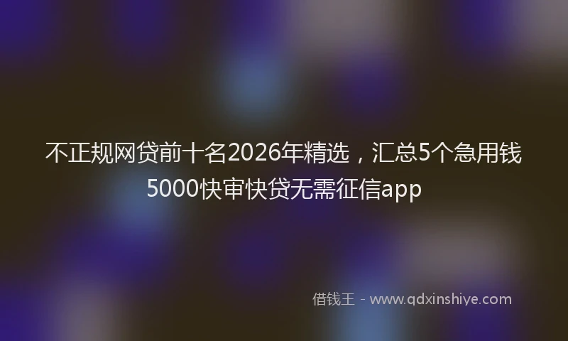 不正规网贷前十名2026年精选，汇总5个急用钱5000快审快贷无需征信app
