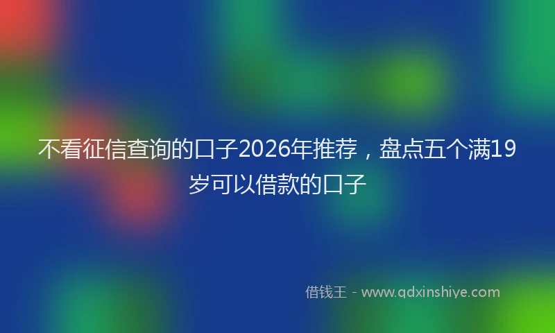 不看征信查询的口子2026年推荐，盘点五个满19岁可以借款的口子