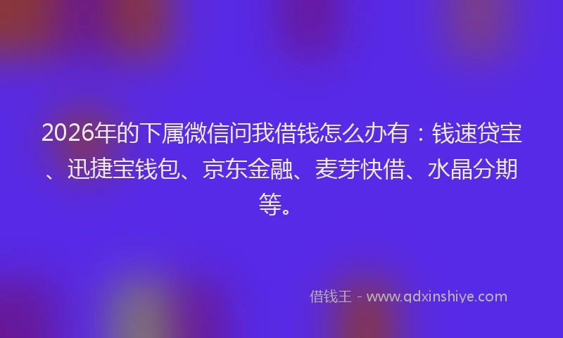 2026年的下属微信问我借钱怎么办有：钱速贷宝、迅捷宝钱包、京东金融、麦芽快借、水晶分期等。