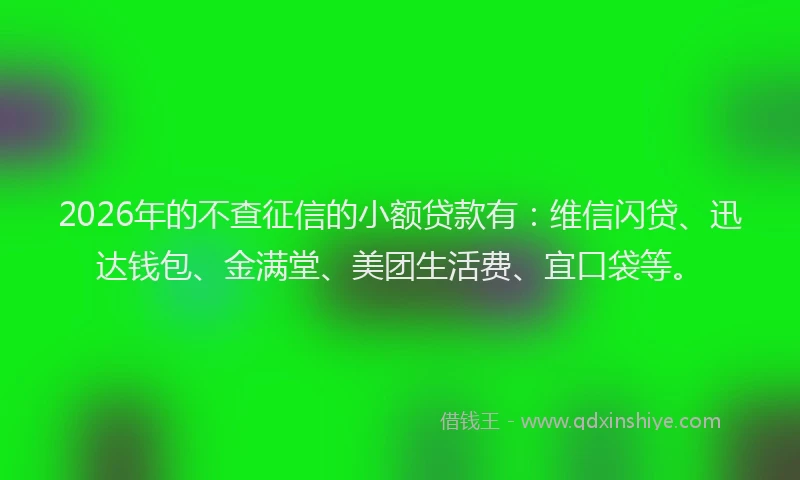2026年的不查征信的小额贷款有：维信闪贷、迅达钱包、金满堂、美团生活费、宜口袋等。