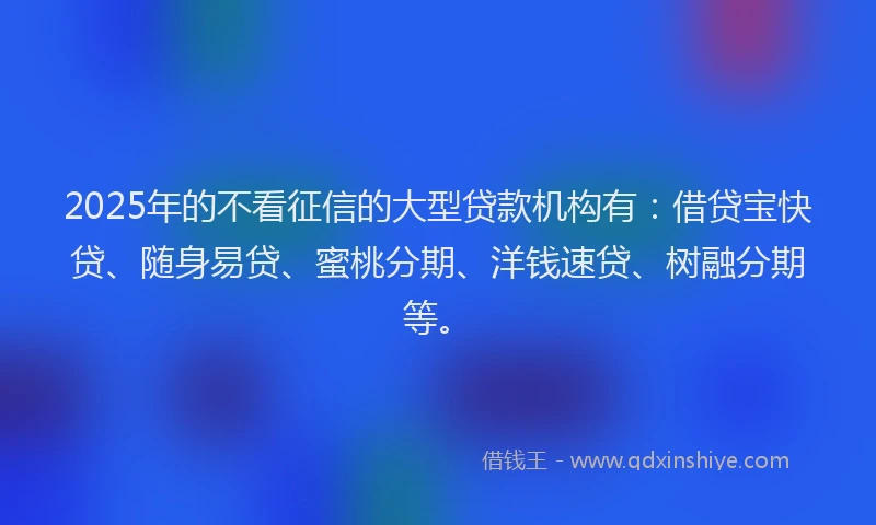 2025年的不看征信的大型贷款机构有：借贷宝快贷、随身易贷、蜜桃分期、洋钱速贷、树融分期等。