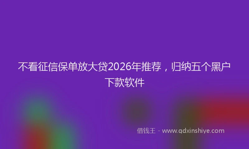 不看征信保单放大贷2026年推荐，归纳五个黑户下款软件