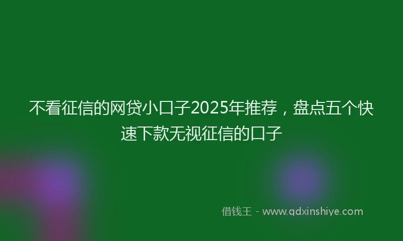 不看征信的网贷小口子2025年推荐，盘点五个快速下款无视征信的口子
