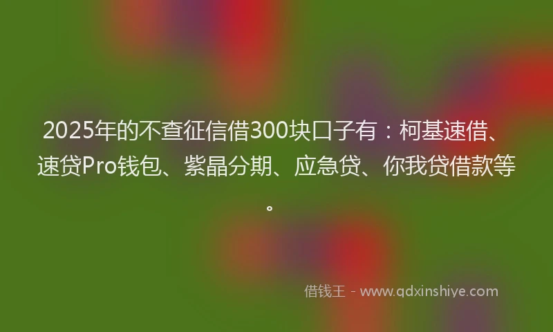 2025年的不查征信借300块口子有：柯基速借、速贷Pro钱包、紫晶分期、应急贷、你我贷借款等。