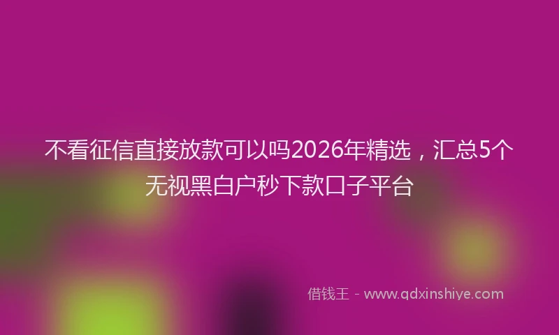 不看征信直接放款可以吗2026年精选，汇总5个无视黑白户秒下款口子平台