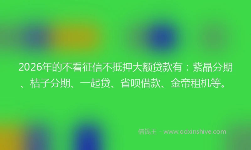 2026年的不看征信不抵押大额贷款有：紫晶分期、桔子分期、一起贷、省呗借款、金帝租机等。