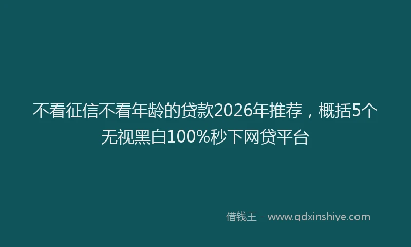 不看征信不看年龄的贷款2026年推荐，概括5个无视黑白100%秒下网贷平台