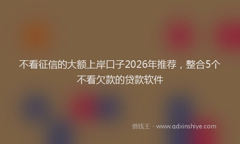 不看征信的大额上岸口子2026年推荐，整合5个不看欠款的贷款软件