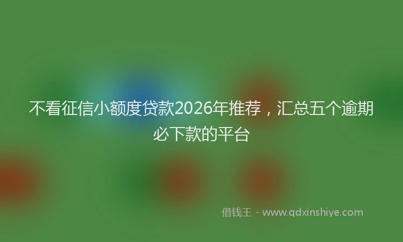 不看征信小额度贷款2026年推荐，汇总五个逾期必下款的平台