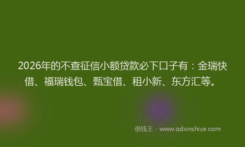 2026年的不查征信小额贷款必下口子有：金瑞快借、福瑞钱包、甄宝借、租小新、东方汇等。
