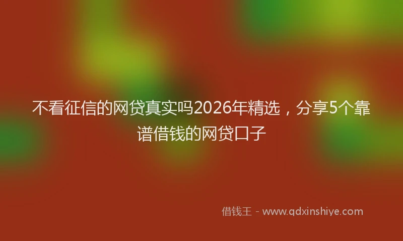 不看征信的网贷真实吗2026年精选，分享5个靠谱借钱的网贷口子