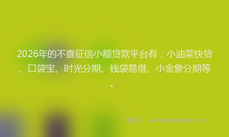 2026年的不查征信小额贷款平台有：小油菜快贷、口袋宝、时光分期、钱袋易借、小金象分期等。