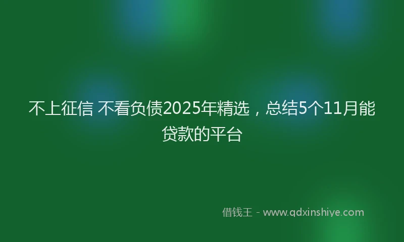 不上征信 不看负债2025年精选，总结5个11月能贷款的平台