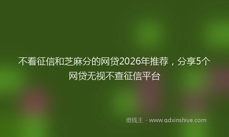 不看征信和芝麻分的网贷2026年推荐,分享5个网贷无视不查征信平台