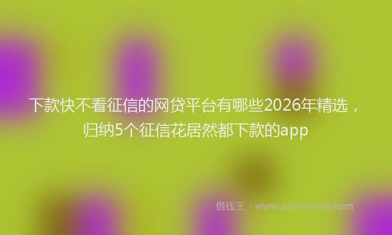 下款快不看征信的网贷平台有哪些2026年精选，归纳5个征信花居然都下款的app