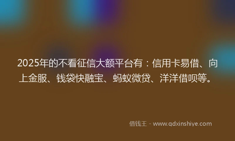 2025年的不看征信大额平台有：信用卡易借、向上金服、钱袋快融宝、蚂蚁微贷、洋洋借呗等。