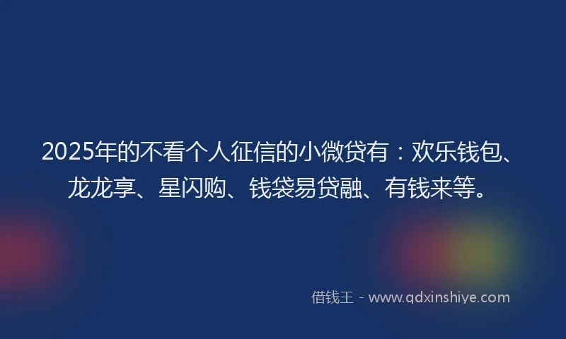 2025年的不看个人征信的小微贷有：欢乐钱包、龙龙享、星闪购、钱袋易贷融、有钱来等。